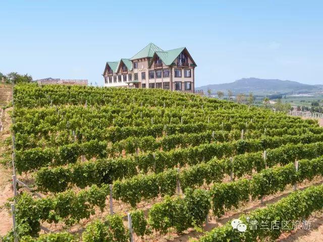 大连近郊游一日游攻略大全（国庆中秋超长假期将至）(12)