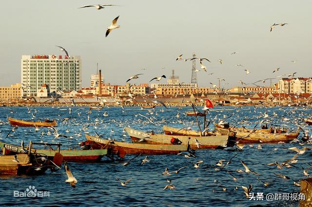 山东省院校合集（建有本科高校的县）(17)