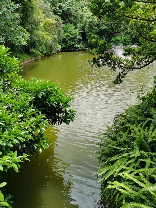 游玩广州海珠湿地公园（海珠湿地公园游）(50)