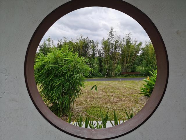 游玩广州海珠湿地公园（海珠湿地公园游）(18)