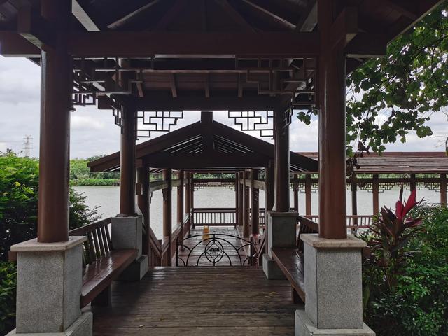 游玩广州海珠湿地公园（海珠湿地公园游）(12)