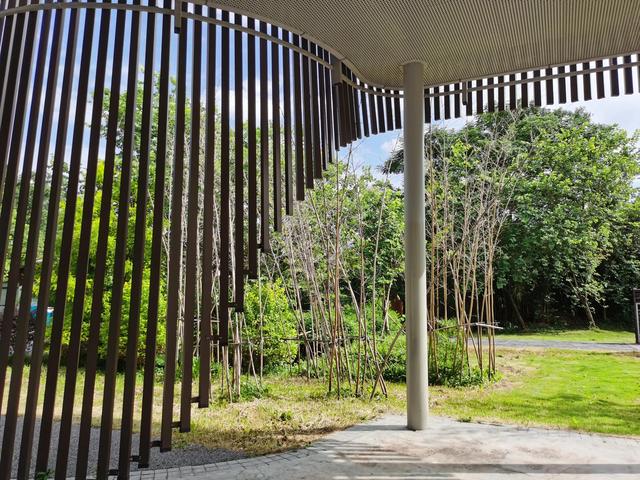 游玩广州海珠湿地公园（海珠湿地公园游）(2)