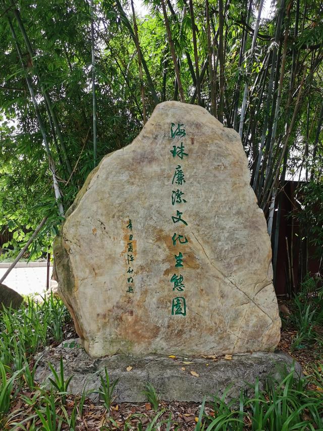 游玩广州海珠湿地公园（海珠湿地公园游）(15)