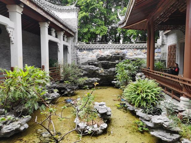 游玩广州海珠湿地公园（海珠湿地公园游）(69)