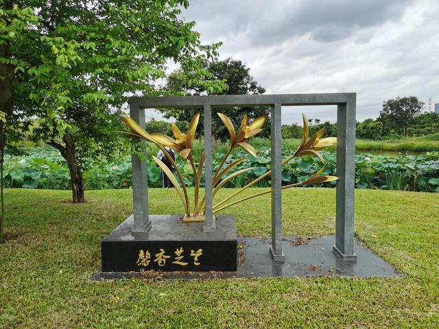 游玩广州海珠湿地公园（海珠湿地公园游）(19)