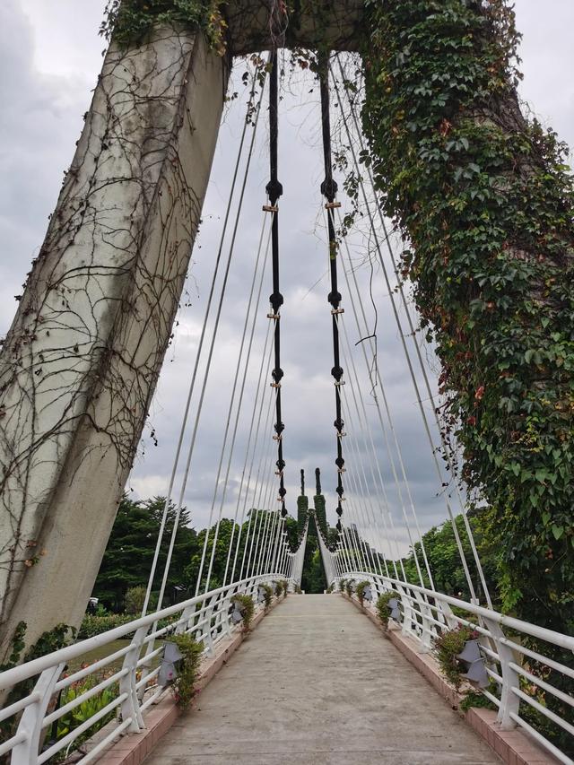 游玩广州海珠湿地公园（海珠湿地公园游）(47)