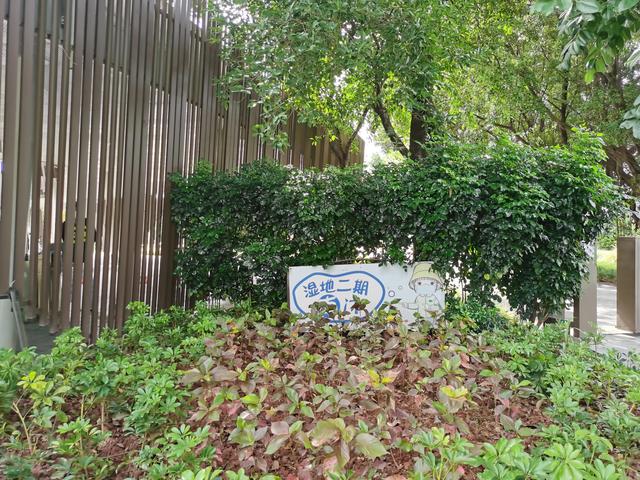 游玩广州海珠湿地公园（海珠湿地公园游）(3)