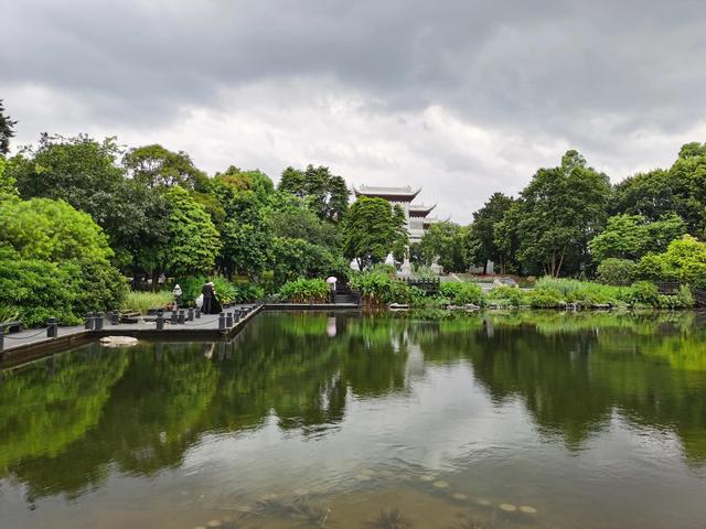 游玩广州海珠湿地公园（海珠湿地公园游）(75)