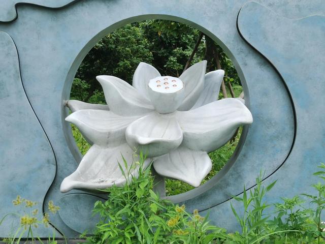 游玩广州海珠湿地公园（海珠湿地公园游）(25)