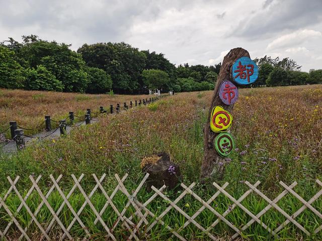 游玩广州海珠湿地公园（海珠湿地公园游）(45)