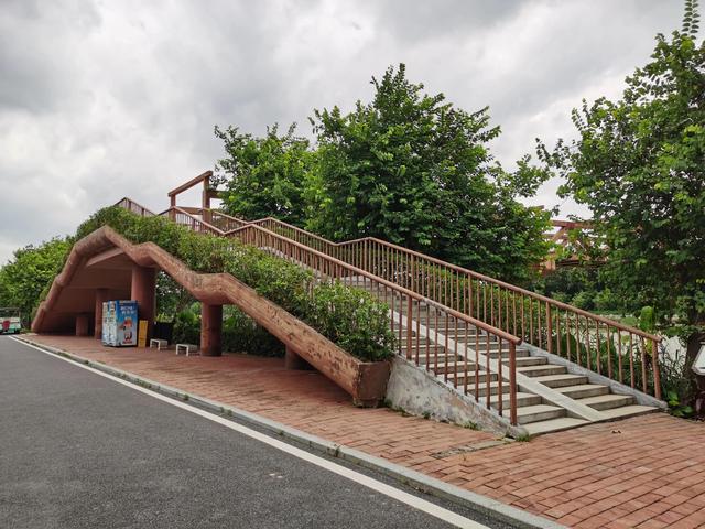 游玩广州海珠湿地公园（海珠湿地公园游）(33)