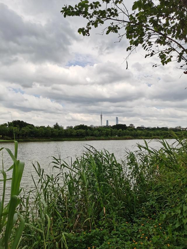 游玩广州海珠湿地公园（海珠湿地公园游）(24)