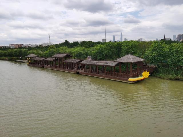 游玩广州海珠湿地公园（海珠湿地公园游）(30)