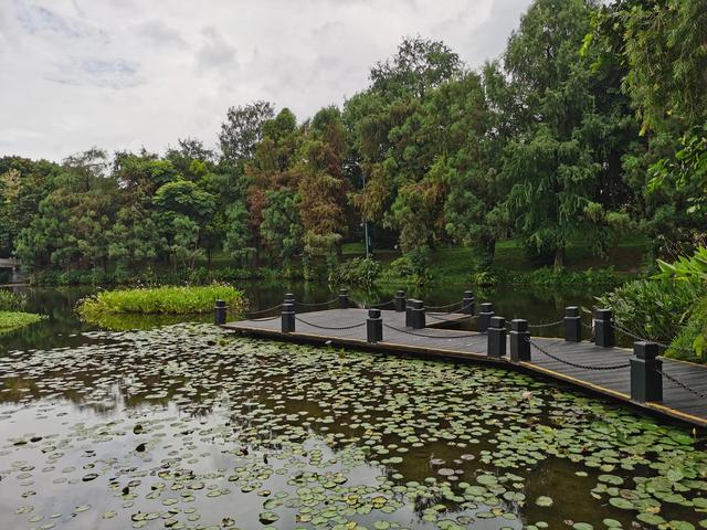 游玩广州海珠湿地公园（海珠湿地公园游）(61)