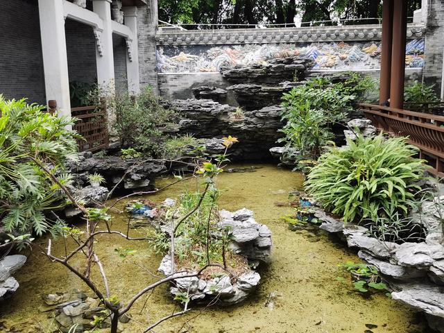 游玩广州海珠湿地公园（海珠湿地公园游）(71)