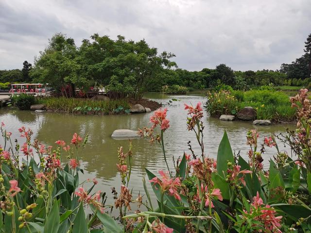 游玩广州海珠湿地公园（海珠湿地公园游）(32)