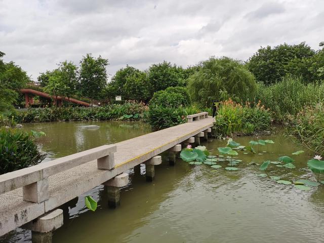 游玩广州海珠湿地公园（海珠湿地公园游）(31)