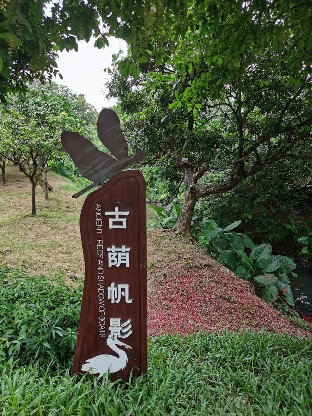 游玩广州海珠湿地公园（海珠湿地公园游）(37)