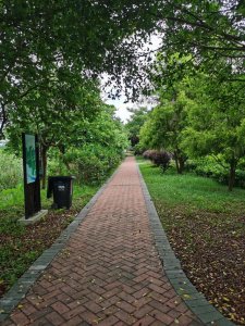 ​游玩广州海珠湿地公园（海珠湿地公园游）