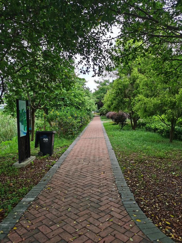 游玩广州海珠湿地公园（海珠湿地公园游）(1)