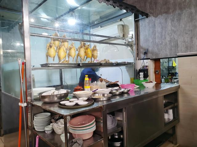 游玩广州海珠湿地公园（海珠湿地公园游）(77)