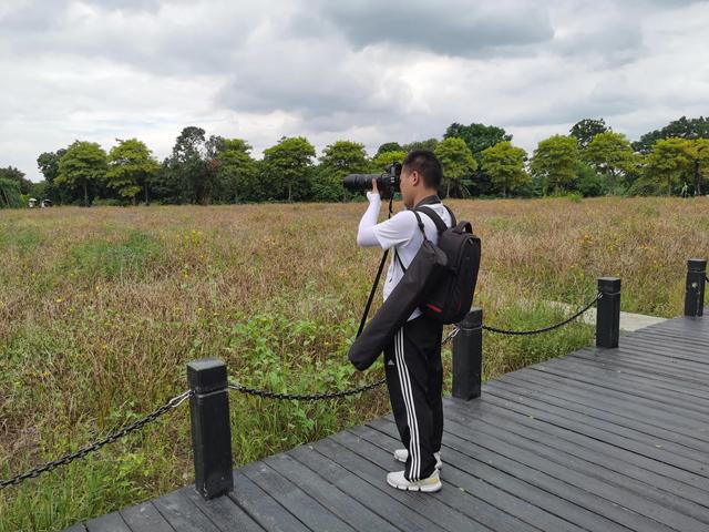 游玩广州海珠湿地公园（海珠湿地公园游）(42)