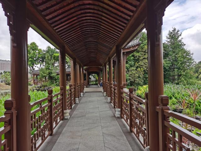 游玩广州海珠湿地公园（海珠湿地公园游）(66)