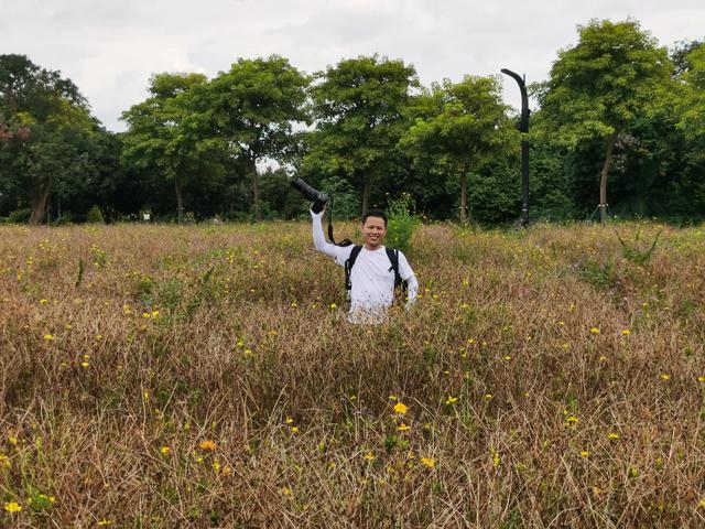 游玩广州海珠湿地公园（海珠湿地公园游）(43)