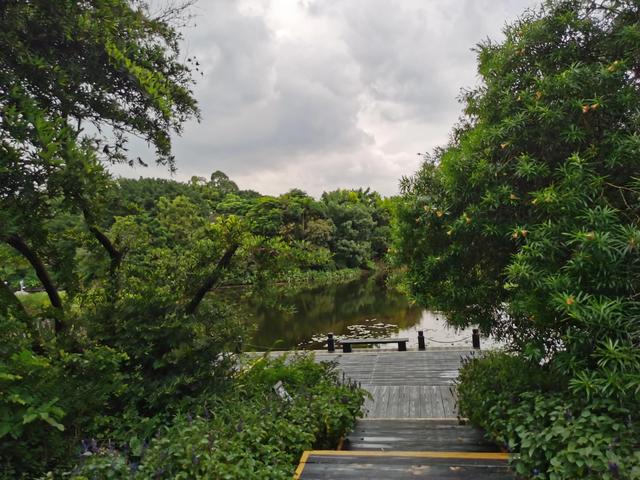 游玩广州海珠湿地公园（海珠湿地公园游）(60)