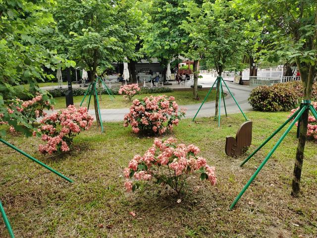 游玩广州海珠湿地公园（海珠湿地公园游）(55)