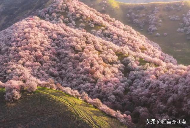 适合4月去旅游的地方（四月必去的15个地方）(46)