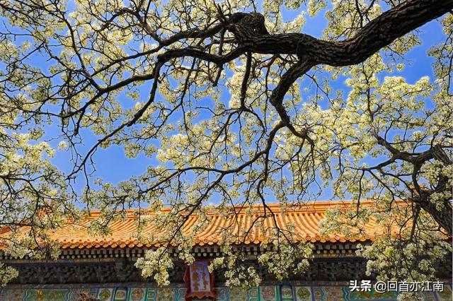 适合4月去旅游的地方（四月必去的15个地方）(35)