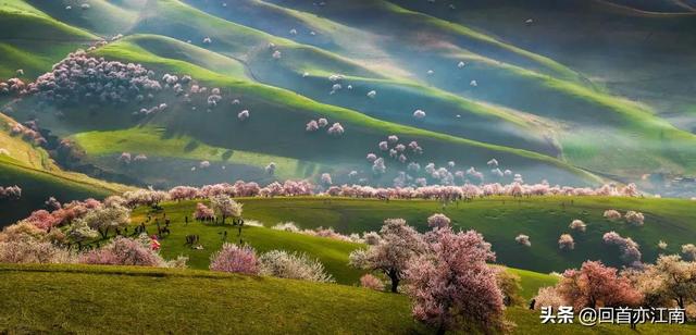 适合4月去旅游的地方（四月必去的15个地方）(45)