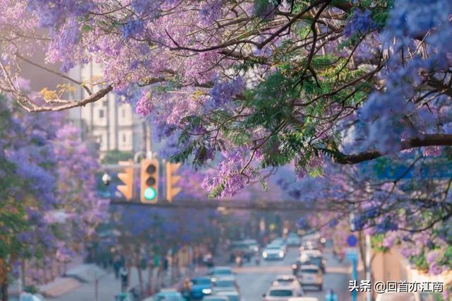 适合4月去旅游的地方（四月必去的15个地方）(19)