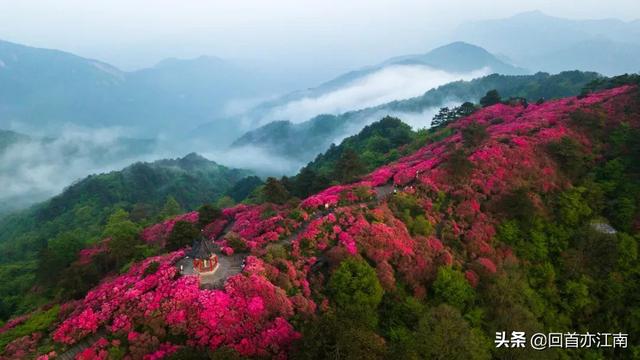 适合4月去旅游的地方（四月必去的15个地方）(26)