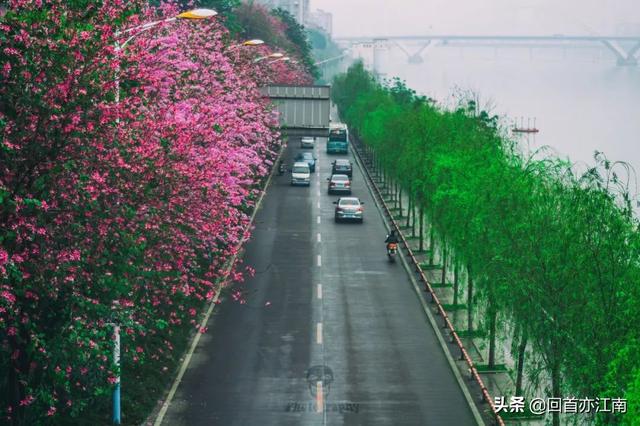 适合4月去旅游的地方（四月必去的15个地方）(16)