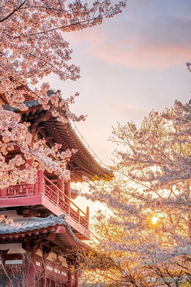 适合4月去旅游的地方（四月必去的15个地方）(2)