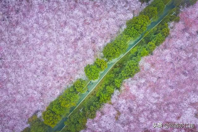 适合4月去旅游的地方（四月必去的15个地方）(3)