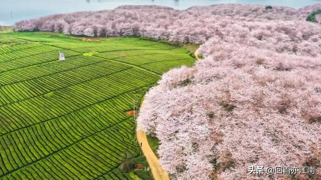 适合4月去旅游的地方（四月必去的15个地方）(5)