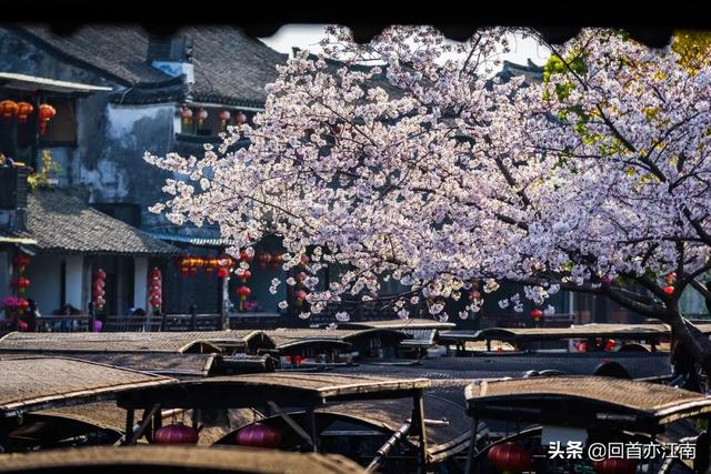 适合4月去旅游的地方（四月必去的15个地方）(22)