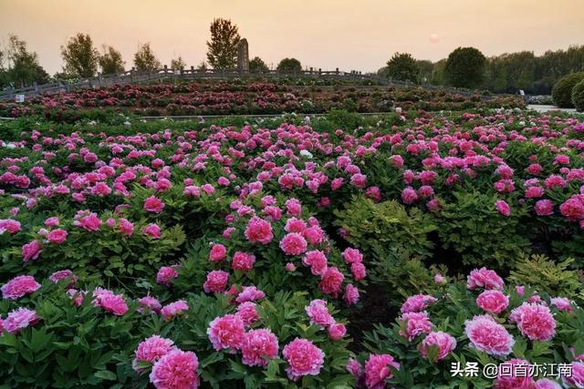 适合4月去旅游的地方（四月必去的15个地方）(10)