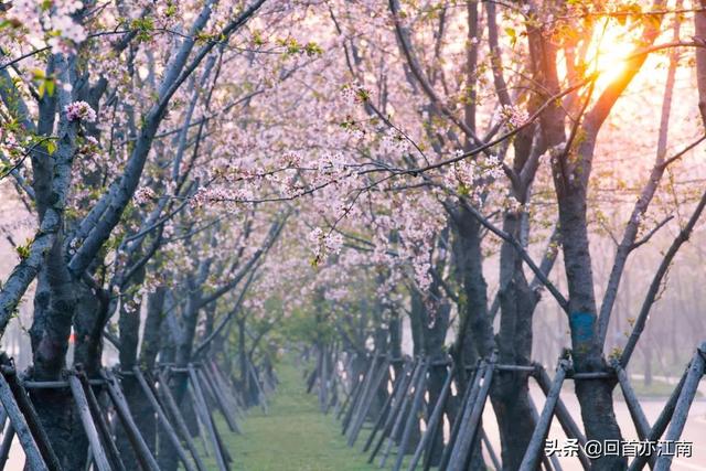 适合4月去旅游的地方（四月必去的15个地方）(38)