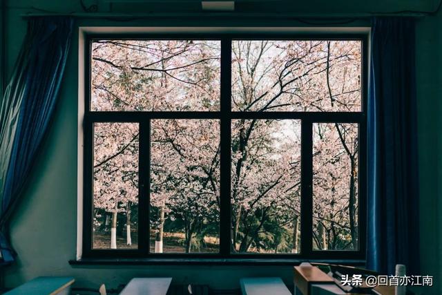 适合4月去旅游的地方（四月必去的15个地方）(13)