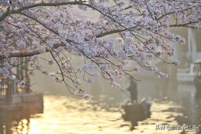 适合4月去旅游的地方（四月必去的15个地方）(21)