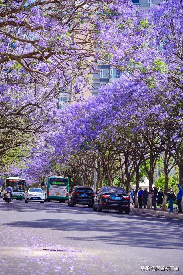 适合4月去旅游的地方（四月必去的15个地方）(18)