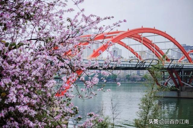 适合4月去旅游的地方（四月必去的15个地方）(17)