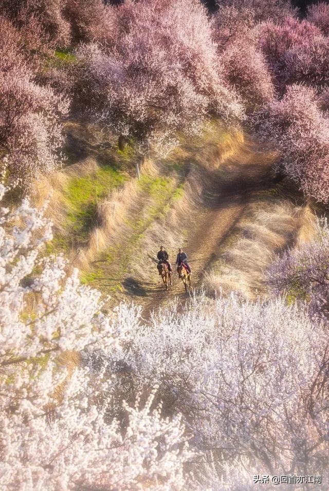 适合4月去旅游的地方（四月必去的15个地方）(48)