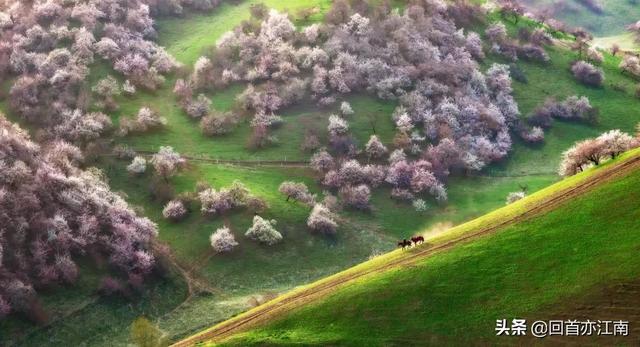 适合4月去旅游的地方（四月必去的15个地方）(47)