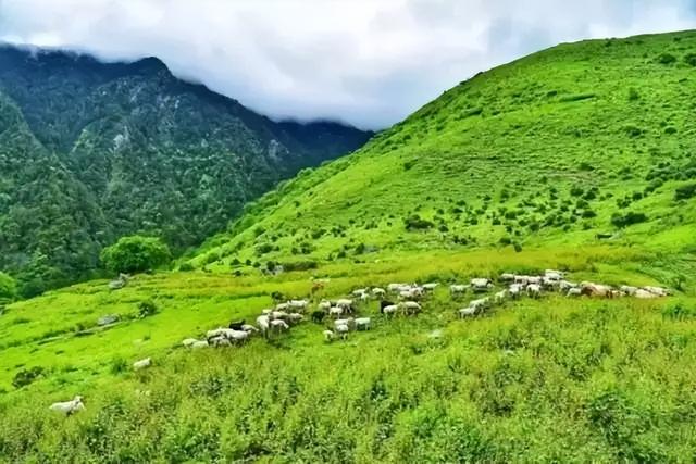 五一旅游最佳去处攻略（五一出游不想人挤人）(12)