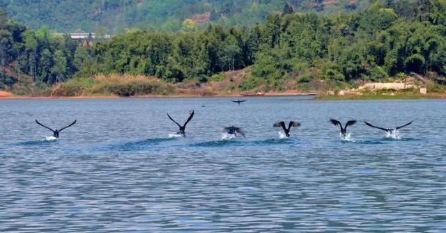 五一旅游最佳去处攻略（五一出游不想人挤人）(40)